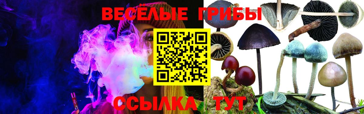 Галлюциногенные грибы Magic Shrooms Лесосибирск