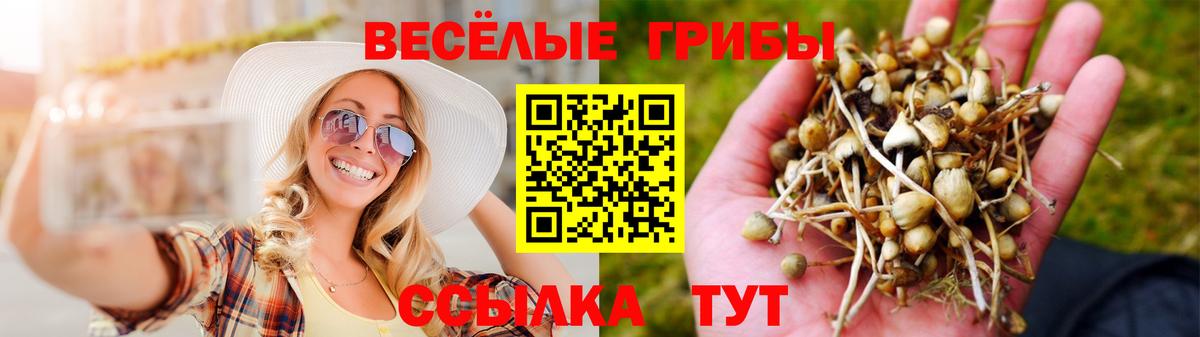 Галлюциногенные грибы Magic Shrooms  Вход с VPN  Лесосибирск 